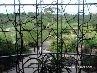 Arusha Savanna 1